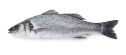 Branzino Eviscerato 200/300 Mediterranea Surgelati Teramo Abruzzo